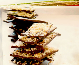 holiday bark stacked Cropped
